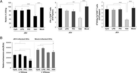 FIGURE 7. Treatment with TLR agonists restores the subverted CD8+ T cell responses of JEV-infected mice. A, C57BL/6 mice infected with JEV were immunized with VVova257–264 7 d p.i. Several groups of mice were also coimmunized with one of the indicated TLR agonists (1 μg LPS, 100 μg PIC, 30 μg CpG). The Ag-specific CD8+ T cell responses were assessed based on the in vivo CTL killing activity (left), intracellular cytokine IFN-γ (middle), and Kb/OVAp tetramer staining (right) 14 d later. The in vivo CTL killing activities are expressed as percentage of killing relative to the mock-infected group, and total numbers of SIINFEKL-specific CD8+ T cells determined by intracellular IFN-γ and Kb/OVAp tetramer staining are shown. Each bar represents the mean ± SD of three mice per group. B, CD8+ T cell proliferation by JEV-infected bmDCs following TLR triggering. The CD8+ T cells purified from VVova257–264-immunized mice were expanded with JEV- and mock-infected bmDCs following treatment with VVova and TLR agonist (1 μg/ml LPS, 100 μg/ml PIC, 30 μg/ml CpG). CD8+ T cell proliferation was assessed by a viable cell ATP bioluminescence assay following 72 h of incubation. Data represent the mean ± SD of RLUs from wells evaluated in quadruplicate. *p < 0.05; **p < 0.01; ***p < 0.001 compared with the indicated group.