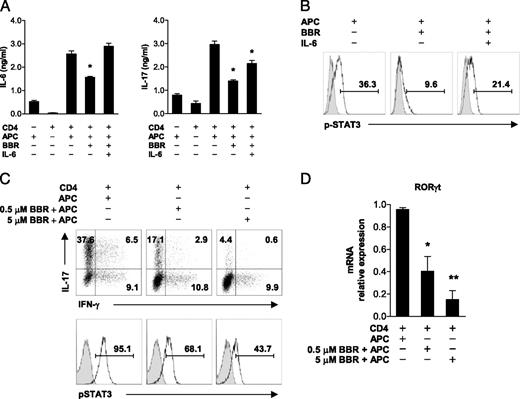 FIGURE 7. Decreased IL-6 production by CD11b+ cells by BBR treatment and inhibition of Th17 cells. A, CD11b+ cells isolated from EAE mice were pretreated or not with 5 μM BBR and cocultured with CD4+ MOG35–55-reactive T cells. Where indicated, IL-6 (1 ng/ml) was added. Cytokine production from the cultures was analyzed by ELISA. B, The phosphorylation of STAT3 in the aforementioned CD4+ T cells was analyzed by flow cytometry. C, Naive CD4+ cells were cocultured with CD11b+ APCs from naive mice pretreated or not with 5 μM BBR under Th17-polarizing conditions. The percentage of Th17 cells and STAT3 phosphorylation in the CD4 subset was analyzed by intracellular staining of IL-17 and pSTAT3, respectively. D, The mRNA abundance of RORγt in CD4+ cells was analyzed by real-time PCR. Data are representative of two independent experiments. *p < 0.05; **p < 0.01.