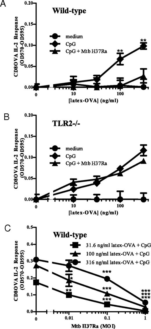 FIGURE 7. M. tuberculosis inhibits TLR9 induction of cross processing. DCs were treated as in Fig. 1 with CpG-A ODN 2336 (300 nM) and various doses of Mtb H37Ra. A, Induction of cross processing in wild-type DCs by CpG-A ODN 2336 and inhibition by Mtb (MOI 1). B, Induction of cross processing in TLR2−/− DCs by CpG-A ODN 2336 and lack of inhibition by Mtb (MOI 1). C, Induction of cross processing by CpG-A ODN 2336 in wild-type DCs and inhibition by various doses of M. tuberculosis. For A and B, statistical significance was determined for comparison of CpG-treated cells with or without M. tuberculosis at the same Ag concentration. **p < 0.01. For C, statistical significance was determined for comparison of cells treated with Mtb H37Ra at various MOIs to cells without Mtb H37Ra (MOI 0). *p < 0.05; **p < 0.01; ***p < 0.001. Data points represent the means of triplicate samples ± SD. Results are representative of three independent experiments. Mtb, M. tuberculosis.