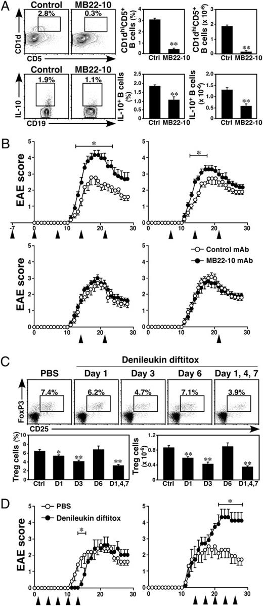FIGURE 3. B10 cells and Tregs cooperatively regulate EAE severity. A, B10 cell depletion in vivo. Spleen CD1dhighCD5+ and IL-10+ B cell frequencies were determined in wild-type mice 7 d after MB22-10 or control mAb treatments (250 μg/mouse). Upper panels, Representative results demonstrate the frequency of CD1dhighCD5+ B cells within the indicated gates among total CD19+ B cells. Lower panels, Representative results demonstrate the frequencies of IL-10+ cells within the indicated gates among total CD19+ B cells. Bar graphs indicate mean (±SEM) percentages and numbers of CD1dhighCD5+ or IL-10+ B cells from six mice in each group from two pooled independent experiments. Significant differences between MB22-10 or control mAb treatment groups are indicated; **p < 0.01. B, Early B10 cell deletion exacerbates EAE disease severity. Mice were treated with MB22-10 (●) or control (○) mAb (250 μg, arrowheads) from day −7 (days −7, 0, 7, 14, 21), day 7 (days 7, 14, 21), day 14 (days 14, 21), or day 21, as indicated. Values represent mean (±SEM) EAE clinical scores from ≥5 mice in each group, with similar results obtained in two independent experiments. Significant differences between MB22-10 and control mAb-treated groups are indicated; *p < 0.05. C, Treg deletion. Representative results demonstrate spleen CD4+CD25+FoxP3+ Treg frequencies within the indicated gates among total CD4+ T cells and Treg numbers in wild-type mice 7 d after initial denileukin diftitox or PBS treatments. Denileukin diftitox was administrated 1, 3, or 6 d before analysis or 1, 4, and 7 d before analysis, as indicated. Bar graphs indicate mean (±SEM) percentages and numbers of CD4+CD25+FoxP3+ Tregs from six mice in each group from two pooled independent experiments. Significant differences between denileukin diftitox or PBS treatment groups are indicated; *p < 0.05; **p < 0.01. D, Late Treg deletion exacerbates EAE disease severity. Mice were treated with denileukin diftitox (●) or PBS (○) before (days 1, 4, 7, 10, 13, arrowheads) or after EAE onset (days 14, 17, 20, 23, 26, arrowheads). Values represent mean (±SEM) EAE clinical scores from ≥5 mice in each group, with similar results obtained in two independent experiments. Significant differences between denileukin diftitox and PBS treatment groups are indicated; *p < 0.05.
