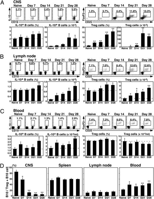 FIGURE 4. Changes in B10 and Treg frequencies and numbers within tissues during the course of EAE. Mononuclear cells were isolated from CNS tissue (A), inguinal and axillary lymph nodes (B) draining the site of MOG immunization, or blood (C) before and 7, 14, 21, or 28 d after MOG35–55 immunizations (left panels). Representative results demonstrate the frequencies of IL-10–producing cells after L + PIM stimulation for 5 h within the indicated gates among total CD19+ B cells, as well as CD4+CD25+FoxP3+ Treg frequencies among total CD4+ T cells. Bar graphs indicate mean (±SEM) frequencies and numbers of B cells that produced IL-10 or CD25+FoxP3+CD4+ Tregs from six mice in each group from two pooled independent experiments. Horizontal dashed lines are provided for reference to naive mice. D, Tregs dominate CNS tissues after EAE development. Bar graphs indicate mean (±SEM) percentages of IL-10+ B10 cells relative to total IL-10+ B10 cells plus Tregs within various tissues. A–D, Significant differences between means of naive mice and mice with EAE are indicated; *p < 0.05; **p < 0.01. Similar results were obtained in at least two independent experiments.