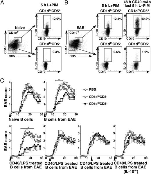 FIGURE 5. The adoptive transfer of MOG35–55-sensitized B10 cells can reduce EAE disease severity in wild-type mice. A and B, Representative B10 cell purification results for adoptive transfer experiments. Purified spleen B cells from naive mice or mice with EAE (day 28) were separated into CD1dhighCD5+CD19+ and CD1dlowCD5−CD19+ B cell populations. The isolated cells were cultured with L + PIM for 5 h, or were cultured with agonistic CD40 mAb for 48 h with L + PIM added during the final 5 h of culture. B10 cell frequencies in the stimulated cell cultures were determined by immunofluorescence staining with flow cytometry analysis. C, The adoptive transfer of purified spleen CD1dhighCD5+ B cells reduces EAE disease severity. Wild-type recipient mice were given either PBS, CD1dhighCD5+ B cells, or CD1dlowCD5− B cells from naive wild-type mice, mice with EAE (day 28), or IL-10−/− mice with EAE (day 28) 1 d before MOG35–55 immunizations or 7 or 14 d after MOG35–55 immunization, as indicated (arrowheads). In some cases, the purified B cell populations were stimulated as indicated with agonistic CD40 mAb for 48 h, with LPS added during the final 5 h of culture to induce B10pro cell maturation and thereby expand B10 cell frequencies. Values represent means (±SEM) from ≥5 mice in each group, with similar results obtained in two independent experiments. Significant differences between the means of EAE clinical scores are indicated; *p < 0.05 (♦ versus ○).