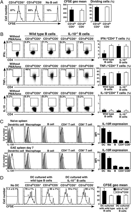 FIGURE 7. B10 cells alter T cell cytokine profiles, but not T cell proliferation. Purified splenic CD1dhighCD5+ or CD1dlowCD5− B cells from mice with EAE (day 28) were stimulated with agonistic CD40 mAb for 48 h, with LPS added during the final 5 h of culture. A, B10 cell effects on T cell proliferation. CFSE-labeled TCRMOG CD4+ T cells were cultured alone or with CD40/LPS-stimulated CD1dhighCD5+ or CD1dlowCD5− B cells in the presence of MOG35–55 (25 μg/ml) for 72 h. After 72 h, the cultured cells were stained for CD4 and Thy1.1 expression and analyzed for CFSE dilution by flow cytometry. Representative frequencies of dividing CFSE-labeled cells are shown (gated on CD4+Thy1.1+CFSE+ cells). Bar graphs (left) indicate CFSE geometric mean fluorescence of the entire histogram, which is inversely proportional to cell divisions. Bar graphs (right) indicate mean (±SEM) frequencies of dividing TCRMOG CD4+ T cells (CD1dhighCD5+ B cell group, ▪; CD1dlowCD5− B cell group, □) from six mice in each group from two pooled independent experiments. B, B10 cells alter CD4+ T cell cytokine production. TCRMOG CD4+ T cells were cultured with CD40/LPS-stimulated CD1dhighCD5+ or CD1dlowCD5− B cells from wild-type or IL-10−/− mice with EAE (day 28) in the presence of MOG35–55 (25 μg/ml) for 72 h, with PMA, ionomycin, and BFA added during the final 5 h of culture. For negative controls, TCRMOG CD4+ T cells were cultured with CD40/LPS-stimulated CD1dlowCD5− B cells in the presence of MOG35–55 (25 μg/ml) for 72 h, with BFA alone (without PMA/ionomycin) added during the final 5 h of culture. Cytokine production by TCRMOG CD4+ T cells was determined by intracellular cytokine staining with flow cytometry analysis. Numbers indicate percentages of T cells within the indicated gates among total CD4+ T cells. Bar graphs indicate mean (±SEM) percentages of cytokine-producing CD4+ T cells from six mice in each group from two pooled independent experiments. C, Representative IL-10R expression (thick line) by splenic CD11c+ DCs, CD11bhigh macrophages, CD19+ B cells, CD4+ T cells, and CD8+ T cells from wild-type mice before or 7 d after MOG35–55 immunization. Gray histograms represent isotype-matched control mAb staining. Bar graphs indicate average mean linear fluorescence intensities (±SEM) of IL-10R expression by each cell type from six mice in each group from two pooled independent experiments. D, B10 cells inhibit the ability of DCs to activate CD4+ T cells. Splenic CD1dhighCD5+ or CD1dlowCD5− B cells from mice with EAE (day 28) were purified by cell sorting, and cultured with agonistic CD40 mAb for 48 h, with LPS added during the final 5 h of culture. Purified splenic DCs from mice with EAE (day 10) were cultured alone or with CD40/LPS-stimulated CD1dhighCD5+ or CD1dlowCD5− B cells in the presence of MOG35–55 (25 μg/ml) for 72 h. DCs purified from the B cell cocultures were then cultured with TCRMOG CD4+ T cells for 72 h, or the T cells were cultured alone, with CD4 and Thy1.1 expression and CFSE dilution analyzed by flow cytometry. Mean frequencies of dividing CFSE-labeled CD4+Thy1.1+CFSE+ cells are indicated (±SEM) in each histogram from six mice in each group from two pooled independent experiments. Bar graphs indicate CFSE geometric mean fluorescence of the entire histogram, which is inversely proportional to cell divisions. Significant differences between groups indicated; *p < 0.05.