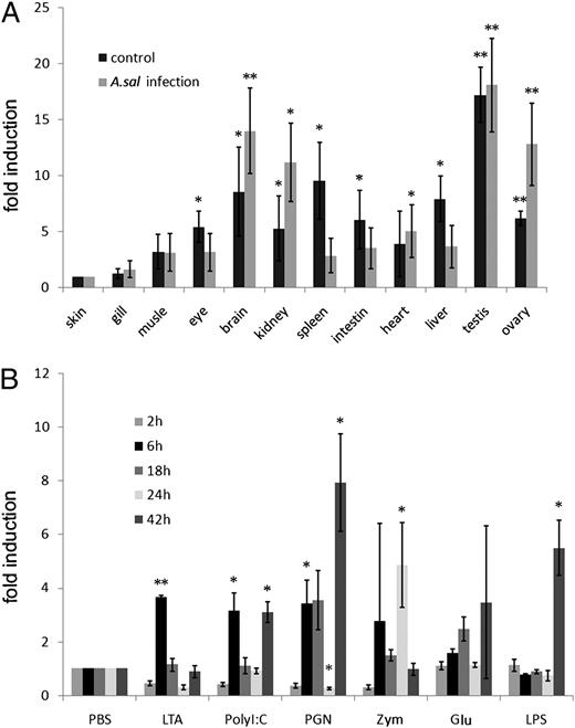 FIGURE 2. A, Tissue distribution of zebrafish tirap in normal and A. salmonicida-infected zebrafish. RNA was isolated from skin, gill, muscle, eye, brain, kidney, spleen, intestine, heart, liver, testis, and ovary. Tirap expression pattern was analyzed by quantitated real-time PCR. B, Expression pattern of zebrafish tirap following ligand injection. Adult zebrafish was i.p. injected with either LPS (100 μg/g), poly I:C (100 μg/g), LTA (100 μg/g), PGN (100 μg/g), zymosan (100 μg/g), glucan (50 μg/g), or PBS. At 2, 6, 18, 24, and 42 h, internal organs were dissected, and total RNA was extracted and reverse-transcripted into first-strand cDNA. The fold induction was compared with PBS. *p < 0.05; **p < 0.01.