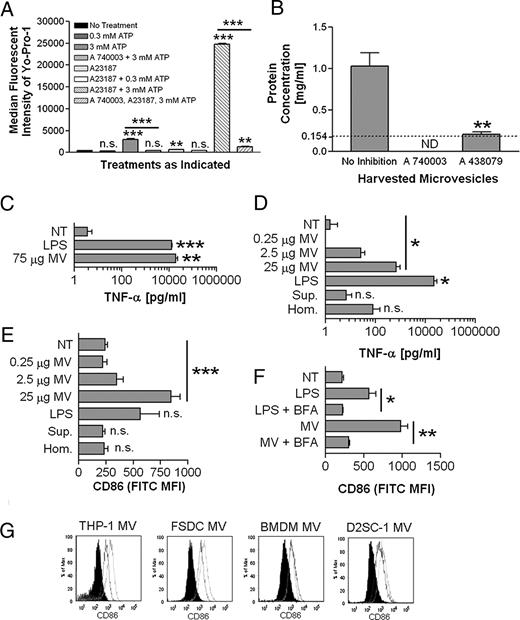 FIGURE 1. P2X7-induced MV elicit TNF-α secretion and upregulate CD86. A, J774A.1 were treated with or without 100 μM A 740003 and then given further indicated treatment for 30 min. Cells were analyzed for Yo-Pro-1 association by flow cytometry. The histogram indicates median fluorescent intensities means ± SEM of n = 3. Statistical comparisons are made to nontreated J774A.1, except where indicated with the inclusion bars. B, J774A.1 were treated with or without 100 μM A 740003 or 10 μM A 438079 for 15 min prior to MV generation. Harvested MV were quantified for their protein concentration by Bradford assay. The histogram indicates protein concentration means ± SEM of n = 3. Statistical comparisons are made to MV harvested from nondrug-treated J774A.1. ND indicates that the protein concentration was lower than the lower limit of detection, which is marked with the dotted line. C, BMDM were treated with 1 μg/ml LPS or 75 μg protein equivalents of MV, or were left nontreated for 18 h. The histogram indicates TNF-α means ± SEM of n = 3. The statistical comparison is made to nontreated BMDM. D, BMDM were treated with 0.25, 2.5, or 25 μg protein equivalents of MV; 25 μg protein equivalents of cell homogenate; the volume equivalent of 25 μg protein equivalent from ultracentrifugate following generation of MV pellets; or 1 μg/ml LPS; or were left nontreated for 18 h. The histogram indicates TNF-α means ± SEM of n = 3. The statistical comparison is made to nontreated BMDM. E, BMDM from D were analyzed for surface CD86 MFI means ± SEM of n = 3. The statistical comparison is made to nontreated BMDM. F, BMDM were treated with 1 μg/ml LPS or 25 μg protein equivalents of MV, or were left nontreated with or without 10 μg/ml brefeldin A for 18 h. The histogram indicates surface CD86 MFI means ± SEM of n = 3. G, MV harvested from PMA-differentiated THP-1, FSDC, BMDM, or D2SC-1 (25 μg protein equivalents) were incubated with 1 × 106 BMDM for 18 h. CD86 expression induced by MV from each indicated cell (solid line) is compared with CD86 expression induced by an equivalent amount of J774A.1 MV (dotted line) and with nontreated BMDM (black filled). Each flow cytometry histogram is representative of n = 2. *p < 0.05; **p < 0.01; ***p < 0.001. BFA, brefeldin A; Hom., homogenate; n.s., not significant; NT, nontreated; Sup., supernatant.