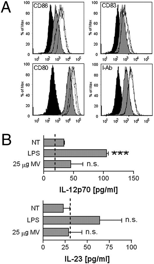 FIGURE 2. MV upregulate multiple costimulatory markers, but do not induce IL-12p70 or IL-23 secretion. A, BMDM were treated with 1 μg/ml LPS (solid line) or 25 μg protein equivalents of MV (dotted line), or were left nontreated (gray filled) for 18 h. Cells were analyzed for CD80, CD83, and CD86 or I-Ab surface expression. Isotype control is shown filled in black. Data are representative of multiple experiments. B, BMDM were treated with 1 μg/ml LPS or 25 μg protein equivalents of MV, or were left nontreated for 18 h. The histogram indicates IL-12p70 or IL-23 means ± SEM of n = 3. The statistical comparison is made to nontreated BMDM. The dotted line indicates the bottom limit of detection for each respective ELISA. ***p < 0.001. n.s., not significant; NT, nontreated.