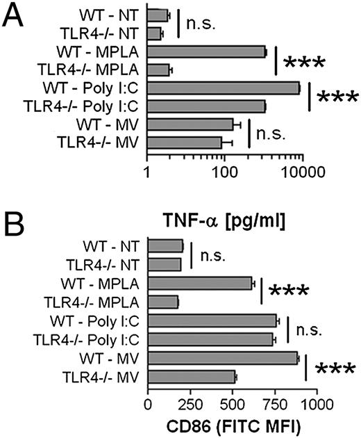 FIGURE 4. Partial TLR4 dependence of MV-induced BMDM activation. A, 5 × 105 WT or TLR4−/− BMDM were treated with 10 μg/ml poly(I:C), 5 μg/ml MPLA, or 75 μg protein equivalents of MV, or were left untreated for 18 h. The histogram indicates TNF-α means ± SEM of n = 3. B, WT or TLR4−/− BMDM were treated with 10 μg/ml poly(I:C), 5 μg/ml MPLA, or 25 μg protein equivalents of MV, or were left untreated for 18 h. Surface CD86 MFI means ± SEM of n = 3 are shown. ***p < 0.001. n.s., not significant; NT, nontreated.