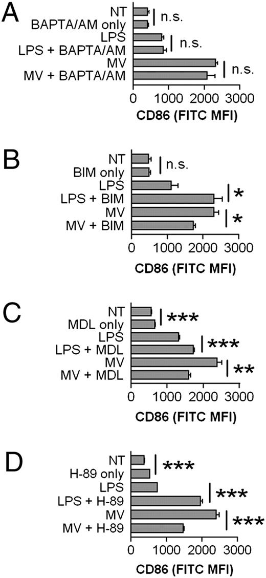 FIGURE 7. CD86 upregulation is cAMP, PKA, and PKC dependent, but Ca2+ independent. BMDM were left nontreated or treated with 1 μg/ml LPS or 25 μg MV with or without additional treatment of 10 μM intracellular calcium chelator BAPTA/AM in A, 50 μM PKC inhibitor BIM in B, 10 μM adenylate cyclase inhibitor MDL-12330A in C, or 10 μM PKA inhibitor H-89 in D, for 18 h. Surface CD86 MFI ± SEM of n = 3 are shown. *p < 0.05; **p < 0.01; ***p < 0.001. n.s., not significant; NT, nontreated.