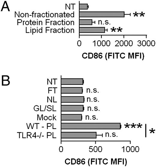 FIGURE 8. The phospholipid, but not protein fraction from MV activates BMDM. A, Lipids and protein were isolated from 25 μg protein equivalents of MV and were applied to BMDM for 18 h. No treatment and nonfractionated 25 μg protein equivalents of MV were included as controls. Surface CD86 MFI means ± SEM of n = 3 are shown. The statistical comparison is made to nontreated BMDM. B, Total lipid fractions from 225 μg protein equivalents of MV were isolated and were further fractionated as follows: column flow through, neutral lipids, glycolipids and sulpholipids, and phospholipids. Mock methanol elution of the column without any loaded material was included as a control. Fractions were incubated with BMDM for 18 h. Nontreated BMDM and incubation of the phospholipid fraction with TLR4−/− BMDM are also shown. Surface CD86 MFI means ± SEM of n = 3 are shown. The statistical comparison is made to nontreated BMDM, except where indicated. *p < 0.05; **p < 0.01; ***p < 0.001. FT, column flow through; GL/SL, glycolipid and sulpholipid; NL, neutral lipid; n.s., not significant; NT, nontreated; PL, phospholipid.