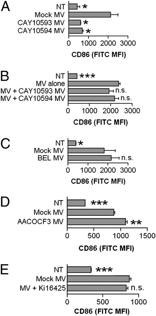 FIGURE 9. Activities of lipid-modifying enzymes PLD1 and PLD2, but not iPLA2 or cPLA2, are required for generating stimulatory MV that can induce CD86 expression. J774A.1 were pretreated with 50 μM PLD1 inhibitor CAY10593 or 50 μM PLD2 inhibitor CAY10594 in A and B, 10 μM iPLA2 inhibitor BEL; in C, 10 μM AACOF3; or in D, DMSO vehicle control for 30 min prior to and during MV generation. A total of 25 μg protein equivalents from the generated MV was incubated with BMDM for 18 h. B, 25 μg protein equivalents from MV from mock-treated J774A.1 were incubated with or without 25 μg protein equivalents from MV from PLD1- or PLD2-inhibited J774A.1. E, BMDM were treated with or without 10 μM Ki16425 prior to MV treatment. Nontreated BMDM are included as controls. Surface CD86 MFI means ± SEM of n = 3 are shown. The statistical comparison is made to mock MV-treated BMDM. *p < 0.05; **p < 0.01; ***p < 0.001. n.s., not significant; NT, nontreated.