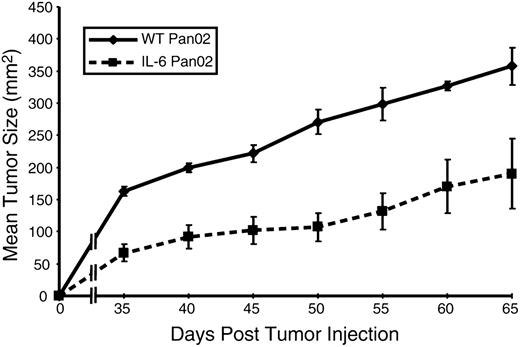 FIGURE 2. Tumor growth is reduced in mice injected with IL-6 Pan02 compared with WT Pan02 tumor cells. Mice (n = 10/group) were injected s.c. with 1 × 104 IL-6 Pan02 or WT Pan02 tumor cells. Tumors were measured every 5 d. The mice bearing the IL-6–transduced Pan02 cells demonstrated a statistically significant reduction in tumor growth compared with WT Pan02 controls. Three mice receiving the IL-6 Pan02 tumor cells did not grow palpable tumors and are not included in the tumor growth curve. This experiment was repeated independently three times with similar results. p < 0.05 for the separation of the tumor growth curves.