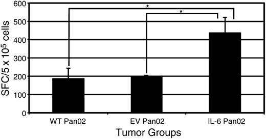 FIGURE 7. A greater number of Th17 cells is present in IL-6 Pan02 tumors compared with WT and EV Pan02 tumors. ELISPOT quantification of IL-17, a marker for Th17 cells, depicted significant differences between the mean number of IL-17–secreting CD4+ TILs from the IL-6 Pan02 tumors compared with the EV Pan02 or WT Pan02 CD4+ TILs. Shown is the average number of spot-forming cells per 5 × 105 cells. Error bars indicate SE of mean. Experiments run in duplicate. *p < 0.05.