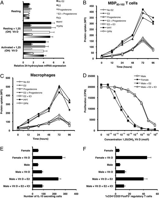 FIGURE 7. Influence of estrogens on 1,25-(OH)2D3 metabolism. A, Resting and activated MBP- and MOG-specific TCLs from male MS patients were cultured under different conditions in the presence or absence of 1,25-(OH)2D3, as indicated. Additional treatments included E2 (10 nM), propyl-pyrazole triol (100 nM), diarylpropionitrile (1 nM), or ICI 182780 (1 μM). Total RNA was extracted from male cells, and CYP24A1 gene expression was measured using quantitative RT-PCR, as described in Fig. 5. The level of E2-treated resting cells was set at 1. B and C, MBP peptide-specific T cells and macrophages from male MS patients were cultured under different conditions, as indicated in A, and DBP uptake was assessed using flow cytometry. D, MBP peptide-specific T cells from males and females were cultured in the presence of different concentrations of 1,25-(OH)2D3, with and without E2 (10 nM) and ICI 182780 (1 μM). After stimulation, T cell proliferation was examined in a standard 60-h assay measuring [3H]thymidine incorporation. E, MBP-specific TCLs isolated from female and male MS patients were cultured under different conditions in the presence or absence of 1,25-(OH)2D3, as indicated, and stimulated with the cognate peptide (10–15 μg/ml). After 72 h, the number of cytokine-secreting cells was evaluated using ELISPOT assay. Similar results were observed when cells were stimulated with plate-bound anti-CD3 mAb. F, PBMCs isolated from females and males were cultured in different conditions in the presence and absence of 1,25-(OH)2D3 (10 nM) as indicated; percentages of CD4+CD25+FoxP3+ regulatory T cells were measured by flow cytometry. All experiments were conducted in serum-free media. Reagents were dissolved in absolute ethanol at a stock concentration of 0.01 M and further diluted in serum-free medium. The addition of ethanol in concentrations similar to those used for the dilutions of the different reagents did not affect CYP24A1 transcript amounts or DBP uptake. For A, B, C, and E, data represent mean ± SEM of triplicate cultures from nine independent experiments. For D and F, data represent mean ± SEM from 25 female and 17 male MS patients.