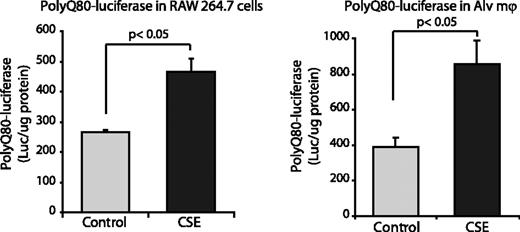 FIGURE 4. Cigarette smoke exposure results in cytosolic accumulation of protein aggregates. RAW264.7 cells and nonsmokers’ alveolar macrophages were transfected with a plasmid encoding firefly luciferase fused to polyQ80-luciferase. After transfection, cells were incubated overnight to allow for an accumulation of polyQ80-luciferase and then exposed to 2% CSE for 6 h. After CSE exposure, cells were lysed, and luciferase was assayed. Data represent mean ± SEM (n = 3). Significance was determined using a nonpaired Student t test.