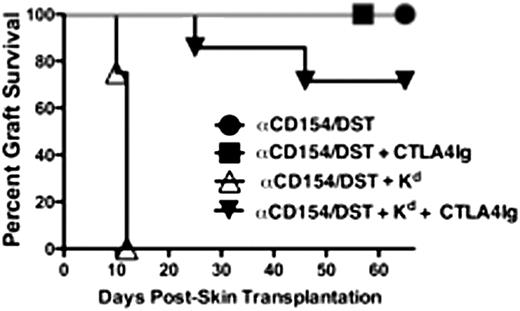 FIGURE 5. CTLA4Ig overrides the effects of anti-Kd mAbs and facilitates graft acceptance in anti–CD154/DST-treated recipients. Acceptance of BALB/c skin grafts by B6 recipients treated with anti-CD154/DST + CTLA4Ig (n = 4) (▪) anti-CD154/DST + CTLA4Ig with anti-Kd mAbs (n = 7) (▼) but rejection by B6 recipients treated with anti-CD154/DST and anti-Kd mAbs (n = 15) (△). B6 recipients treated with anti-CD154/DST (n = 11) (●) also accepted BALB/c skin grafts.