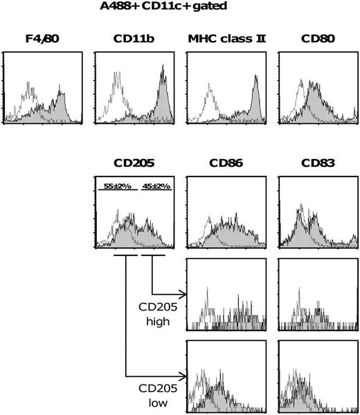 FIGURE 5. Phenotype of DCs that captured allergen in skin and migrated into LNs. Cells, isolated from inguinal LNs of sensitized mice that received OVA*-EDS for 24 h, were gated on Alexa 488-positive CD11c-positive (A488+CD11c+) cells, and expression of the different markers was analyzed. For CD83 and CD86 expression, cells were further gated according to CD205 expression.