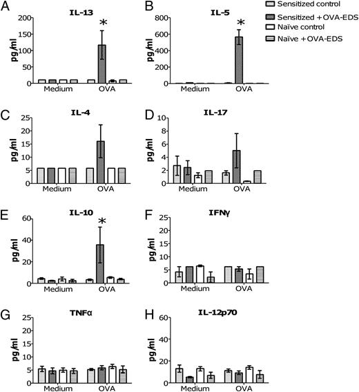 FIGURE 6. Cytokine production by OVA-restimulated lymphocytes from draining LNs. Thirty mice were sensitized and compared with 30 naive mice. One week after sensitization, 15 mice of each group (sensitized or naive) received OVA-EDS, and 15 of each group were left untreated (control). Twenty-four hours after stopping application, cells were isolated from inguinal LNs. Cells from five mice were pooled and cultured at 2 × 106 cells/ml in the presence of 100 μg/ml OVA or medium alone. Supernatants were collected after 72 h and stored at −20°C. Level of Th2 [IL-13 (A), IL-5 (B), IL-4 (C)], Th17 [IL-17 (D)], Treg [IL-10 (E)], and Th1 [IFN-γ (F), TNF-α (G), and IL-12p70 (H)] cytokines were measured and analyzed in supernatant with the Bio-Plex system. Data represent the mean ± SEM. *p < 0.05.