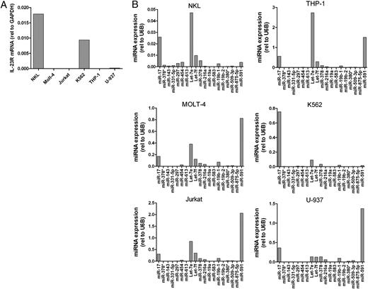 FIGURE 3. IL-23R and putative associated miRNA expression in human cell lines. A, IL-23R mRNA expression was assessed in human myeloid and lymphoid cell lines by qRT-PCR. B, miRNA expression was assessed in human and lymphoid cell lines by qRT-PCR.