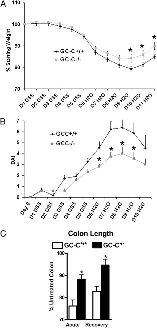 FIGURE 1. Deletion of GC-C reduced clinical disease parameters during colonic injury. A, Mice were given 3% DSS for 5 d and water for an additional 6 d. Weight loss was significantly less in GC-C−/− mice as compared with WT animals. (n = 28–32 mice/group; *p < 0.05). B, Disease activity index (DAI), defined as weight loss, rectal bleeding, and stool consistency, was increased to a lesser degree in GC-C−/− animals as compared with control mice. n = 9–11 mice/group. *p < 0.05. C, Colon length was measured after both acute (5 d 3% DSS) and recovery (5 d 3% DSS and 6 d water) studies, and showed that mice that lacked GC-C experienced much less tissue atrophy as compared with WT mice. n = 5–9 mice/group. *p < 0.03.
