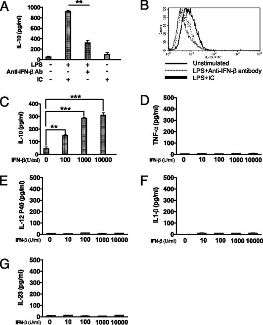 FIGURE 1. IFN-β enhances IL-10 production from human DC. A, DC were pretreated with anti–IFN-β or IC Ab for 2 h, stimulated for 24 h with LPS, and cell-free supernatants were analyzed for IL-10 levels by ELISA. B, DC were pretreated with anti–IFN-β or IC Ab for 2 h, monensin was added 6 h after the addition of LPS, and cells were analyzed for intracellular IL-10 by flow cytometry. DC were stimulated with the indicated concentration of IFN-β, cell-free supernatants were collected 24 h after IFN-β stimulation, and the levels of IL-10 (C), TNF-α (D), IL-12 p40 (E), IL-1β (F), and IL-23 (G) were determined by ELISA. *p < 0.05; **p < 0.01; ***p < 0.001; ANOVA and post hoc Tukey test. Data are mean ± SD of three separate experiments.