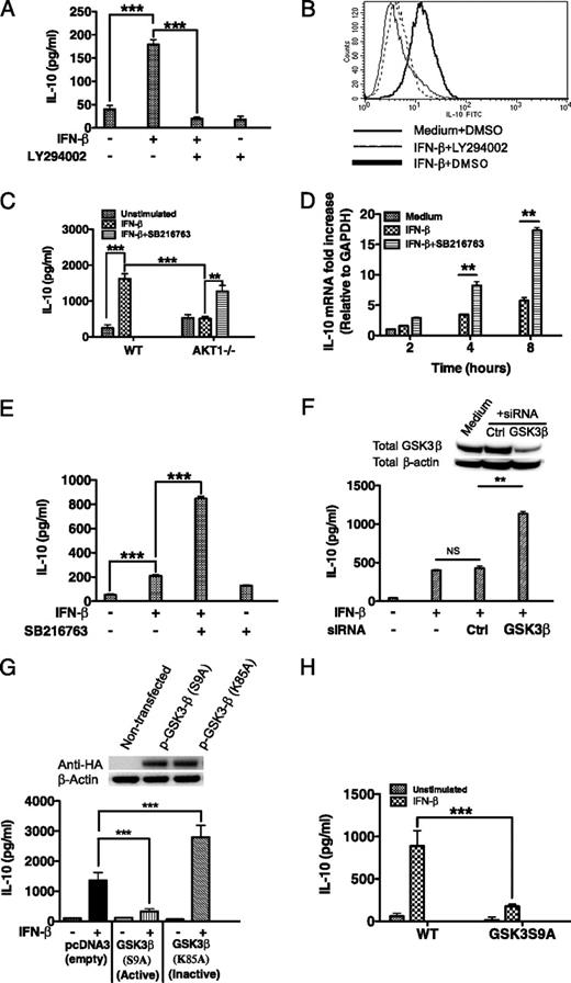 FIGURE 4. IFN-β–induced IL-10 is regulated by the PI3K pathway. A, DC were pretreated for 2 h with the PI3K inhibitor LY294002 and then stimulated with IFN-β for 24 h. Cell-free supernatants were analyzed for IL-10 levels by ELISA. B, DC were stimulated as in A, with the exception that monensin was added 6 h after IFN-β stimulation, and cells were subsequently analyzed for intracellular IL-10 by flow cytometry. C, WT and Akt1-deficient DC were stimulated with IFN-β in the presence or absence of the GSK3 inhibitor SB216763 for 24 h, and IL-10 levels were determined by ELISA. D and E, DC were pretreated for 2 h with the GSK3 inhibitor SB216763 and then stimulated with IFN-β. RT-PCR and ELISA were used to determine IL-10 steady-state mRNA (D) and protein levels (E), respectively. F, DC were mock transfected, transfected with nontargeting siRNA, or transfected with GSK3-β–specific siRNA. To assess GSK3-β protein knockdown, cellular lysates were prepared on day 3, and total GSK3-β was analyzed by Western blot. siRNA-transfected DC were stimulated with IFN-β for 24 h, and IL-10 levels from cell-free supernatants were analyzed by ELISA. G, DC were transfected with pcDNA3 (empty vector control), pcDNA3 encoding a constitutively active mutant of GSK3-β (S9A), or pcDNA3 encoding a kinase dead mutant of GSK3-β (K85A). After 48 h, cell lysates were probed for the expression levels of HA tag by Western blot and subsequently reprobed for total β-actin to ensure equivalent protein loading. After 48 h, transfected cells were stimulated with IFN-β for 24 h, and IL-10 levels from cell-free supernatants were analyzed by ELISA. H, WT and GSK3 (S9A) knockin mDC were stimulated with IFN-β for 24 h, and IL-10 levels were determined by ELISA. **p < 0.01; ***p < 0.001; ANOVA and post hoc Tukey test. Data are mean ± SD of three separate experiments.