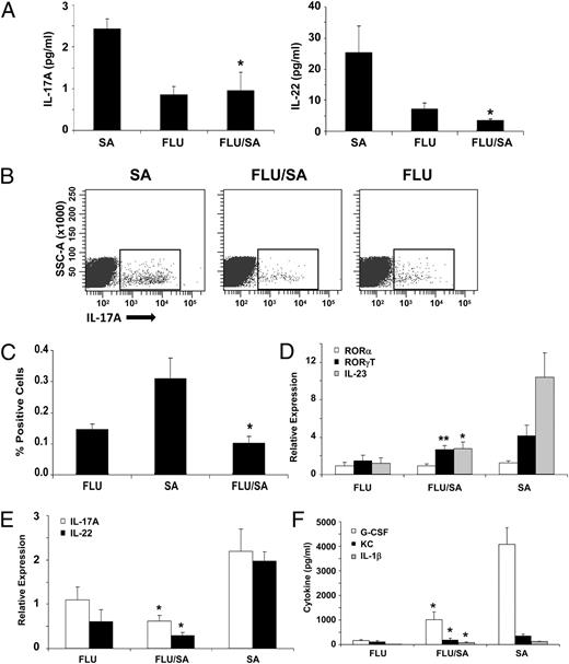 FIGURE 3. Influenza A inhibits the Th17 pathway induction by S. aureus. C57BL/6 mice were infected with 100 PFU of influenza A PR/8/34 or vehicle for 6 d, mice then were challenged with 108 CFU of S. aureus for 24 h (n = 4), all of the experiments were repeated twice, and representative data are depicted. A, IL-17 and IL-22 protein concentrations in lung homogenate. B and C, Total IL-17A–producing cells in lung by flow cytometry. D and E, Th17 pathway gene expression in lung RNA. F, Th17 pathway cytokine concentrations in lung homogenate. *p < 0.05; **p < 0.10 versus S. aureus alone.