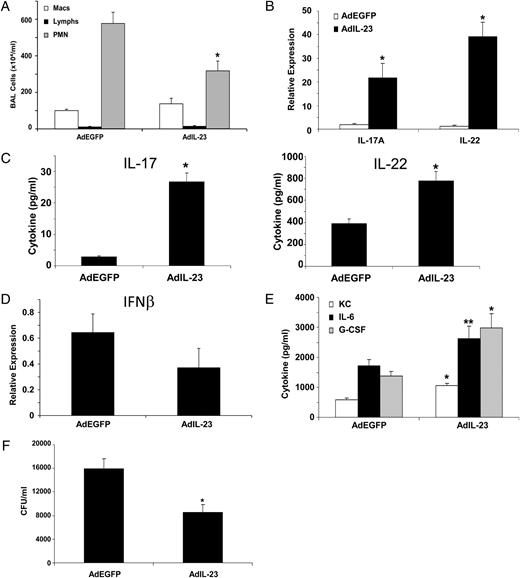 FIGURE 5. Overexpression of IL-23 rescues the influenza-induced defect in Th17 induction and improves clearance of S. aureus. C57BL/6 mice were infected with 100 PFU of influenza A PR/8/34 or vehicle for 6 d, on Day 4 mice were inoculated with 5 × 108 PFU of adenovirus expressing IL-23 or EGFP, mice then were challenged with 108 CFU of S. aureus for 24 h (n = 6), all of the experiments were repeated twice, and representative data are presented. A, Lavage cell differential counts. B, IL-17A and IL-22 gene expression in lung RNA. C, IL-17A and IL-22 protein production in lung homogenate. D, IFN-β expression in lung tissue by RT-PCR. E, Th17 pathway cytokine levels in lung homogenate. F, Bacterial colony counts in the upper right lobe of the lung. *p < 0.05; **p < 0.10 versus adenoviral EGFP (AdEGFP).