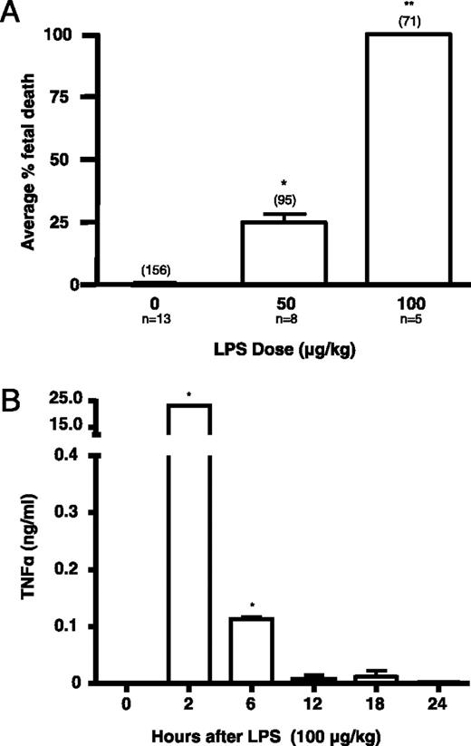 FIGURE 1. Effect of LPS on fetal viability and maternal TNF-α levels. A, Pregnant rats were administered 0, 50, or 100 μg/kg LPS on GD 14.5, and fetal viability was assessed 72 h later. LPS caused fetal death in a dose-dependent manner. Single asterisk denotes significantly different values (p < 0.05) from control (0 μg/kg), whereas double asterisk denotes significantly different values (p < 0.05) from 50 μg/kg LPS. Numbers in brackets indicate the total number of implantation sites for each treatment group, whereas the numbers below the axis labels indicate the number of pregnant dams in each treatment group. B, Maternal systemic TNF-α levels after saline administration (t = 0) or 2, 6, 12, 18, or 24 h after LPS administration (100 μg/kg). Asterisk denotes significantly different values (p < 0.05) from 0 h. Statistically significant differences were determined by ANOVA followed by Bonferroni correction. TNF-α levels at each time point were measured in at least three pregnant rats.