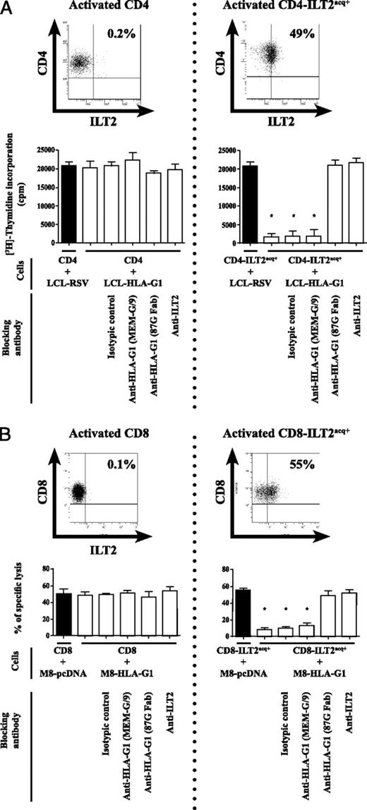 FIGURE 5. Acquisition of ILT2 is responsible for proliferation and cytolytic inhibitions of activated T lymphocytes. A, Acquisition of ILT2 by activated CD4+ T cells inhibits their proliferation in presence of HLA-G molecules. As shown on flow cytometry plots, proliferation assays were performed between activated ILT2-negative CD4+ T cells, which did not acquire ILT2 (top left panel), or activated ILT2-negative CD4+ T cells, which had acquired ILT2 from monocytes (top right panel), with HLA-G1–positive or –negative LCL cells. Proliferation of activated CD4+ T cells was quantified by thymidine incorporation during 18 h of coculture. Bottom left panel, Proliferation of activated CD4+ T cells is not inhibited in presence of HLA-G1 molecules. Bottom right panel, ILT2-positive activated CD4+ T cells stop to proliferate only in presence of LCL–HLA-G1 cells. Proliferation of ILT2-positive CD4+ T cells can be restored using blocking Ab (87G Fab and anti-ILT2) for the HLA-G1–ILT2 interaction compared with nonblocking Ab (MEM-G/9), which cannot restore their proliferation. B, Acquisition of ILT2 by activated CD8+ T cells inhibits their cytolytic activity in presence of HLA-G molecules. As shown on flow cytometry plots, cytotoxic assays were performed between activated ILT2 negative CD8+ T cells, which did not acquire ILT2 (top left panel), or activated ILT2 negative CD8+ T cells, which had acquired ILT2 from monocytes (top right panel), with HLA-G1–positive or negative M8 cells. Cytotoxic function of activated CD8+ T cells was quantified at a 50:1 E:T ratio. Bottom left panel, Cytotoxic function of activated CD8+ T cells is not inhibited in presence of HLA-G1 molecules. Bottom right panel, ILT2-positive activated CD8+ T cells are no longer cytotoxic in presence of LCL–HLA-G1 cells. Cytotoxicity of ILT2-positive CD8+ T cells can be restored using blocking Ab (87G Fab and anti-ILT2) for the HLA-G1–ILT2 interaction compared with nonblocking Ab (MEM-G/9), which cannot restore their cytotoxic function. This figure consists of three independent experiments. *Significant statistical analysis.