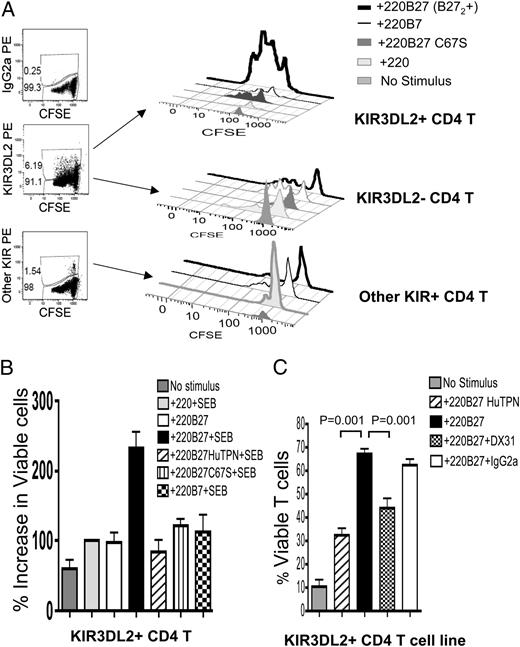 FIGURE 1. Enhanced proliferation and survival of KIR3DL2+ CD4 T cells stimulated with SEB and APC expressing HLA-B27 homodimers (B272). A, Live CD4+ CFSE+ from a healthy B27− control subject were gated on KIR3DL2+, KIR3DL2−, or “other” KIR+ (left panels). Proliferation of KIR3DL2+, KIR3DL2−, and CD4 T cells expressing “other” KIR, with SEB presented by 220B27 or control 220B7, 220B27C67S, and 220 cells (right panels). Representative of 12 experiments with 6 patients and 3 control subjects. B, Percentage increase in viable KIR3DL2+ CD4 T cells after stimulation with SEB and 220B27 or control APC compared with stimulation with 220 APC. Data from six independent experiments with six patients. 220B27 HuTPN, 220 transfected with HLA-B27 and human tapasin express reduced levels of B272. *p < 0.0001, ANOVA for T + 220B27 + SEB compared with other stimuli. C, Percentage viable CFSE+ T cells after stimulation of FACS-purified KIR3DL2+ CD4 T cells with SEB and control 220B27 HuTPN (32.4 ± 2.7%), 220B27 (67 ± 2.2%), or 220B27 with KIR3DL2-specific DX31 mAb (44.2 ± 4%) or IgG2a (62.3 ± 2.4%). Four independent experiments with a KIR3DL2 CD4 T cell line from an AS patient; results in B and C expressed as mean percentage viable cells ± SEM. Representative of seven independent experiments with T cell lines from three AS patients.