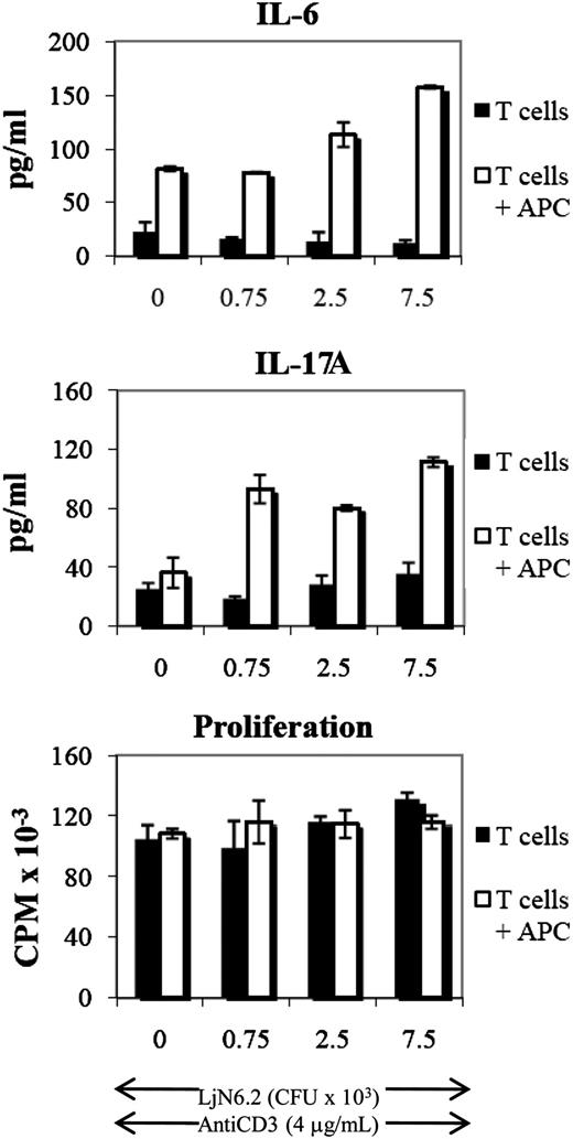 FIGURE 5. IL-17A production is dependent upon TCR stimulation and APCs. Top, Graph shows proliferation of MACS-sorted T lymphocytes incubated with anti-CD3 (4 μg/ml) and graded doses of LjN6.2 in the presence or absence of APCs for 72 h. Proliferation was assessed by [3H]thymidine incorporation within the last 14–16 h of assay. Lower panels, Graphs show cytokine production by MACS-purified T lymphocyte stimulated with anti-CD28 or APCs in the presence of anti-CD3 and graded doses of LjN6.2 (listed concentrations of LjN6.2 represent CFU/ml × 103). Supernatants were removed after 48 h of incubation, and cytokine production of IL-6 and IL-17 was assessed by ELISA.