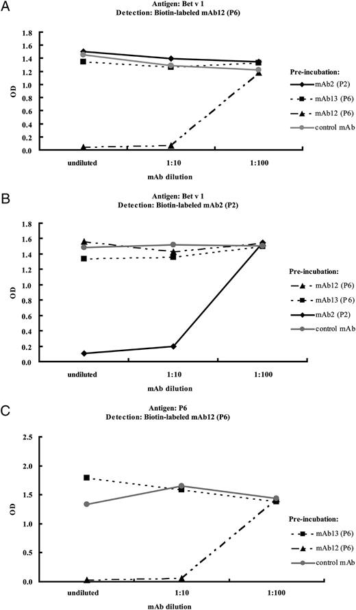 FIGURE 4. Simultaneous Ab binding to Bet v 1 and P6. Plate-bound rBet v 1 was preincubated with different dilutions of mAb2 (P2), mAb12 (P6), mAb13 (P6), or an isotype-control (mAb4A6) (x-axes) followed by incubation with biotin-labeled mAb12 (A) or mAb2 (B). In C, P6 was preincubated with different dilutions of mAb12 (P6) or mAb13 (P6) or the control Ab followed by incubation with biotin-labeled mAb12 (P6). The amounts of bound biotin-labeled mAbs correspond to the OD values (y-axes).