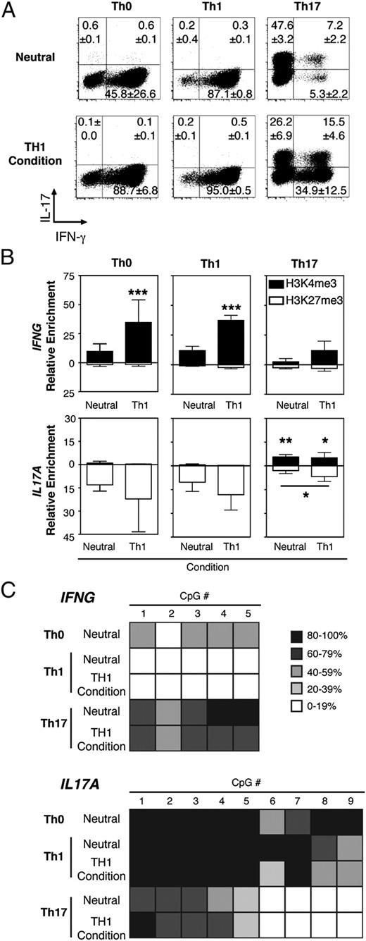FIGURE 4. Cytokine plasticity of Th subsets when exposed to Th1-polarizing conditions. Sorted T cells were expanded in the presence of neutral or Th1-polarizing conditions for 14 d, then restimulated with anti-CD3/anti-CD28–coated beads in the absence of exogenous cytokine for 48 h prior to analysis. A, ICS was performed to detect IFN-γ and IL-17. Under Th1-polarizing conditions, 43.6 ± 3.6% of Th17 cells expressed IFN-γ compared with only 7.1 ± 5.0% in neutral conditions (p = 0.01, n = 3). The total percentage of IL-17–producing cells in Th17 cells was not significantly altered in Th1 conditions, but there was a significant increase in the proportion of IL-17+IFN-γ+ cells (p = 0.01, n = 3). B, ChIP was performed to analyze enrichment of H3K4me3 and H3K27me3 at cytokine gene promoters with significance compared with Th0 in neutral conditions indicated by *p < 0.05, **p < 0.01, ***p < 0.001. Additional significant differences indicated by line between conditions that were compared. C, DNA methylation at cytokine gene promoters was analyzed by bisulphite sequencing. The mean CpG methylation from three independent donors is shown.