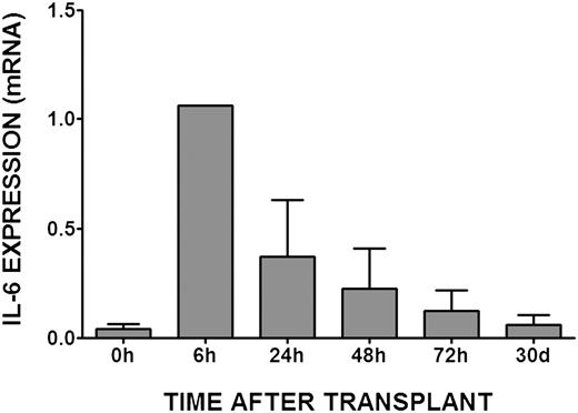 FIGURE 1. Time course of IL-6 expression after arterial transplantation in vivo. Segments of three independent human coronary arteries were collected prior to transplantation (0 h) or at various times after transplantation into immunodeficient mouse hosts and analyzed for expression of IL-6 mRNA by qRT-PCR as described in Materials and Methods. The bars represent the mean values normalized to GAPDH mRNA ± SEM (n = 3); note that the 6-h time point lacks SEM, as only two samples were analyzed at this time point.