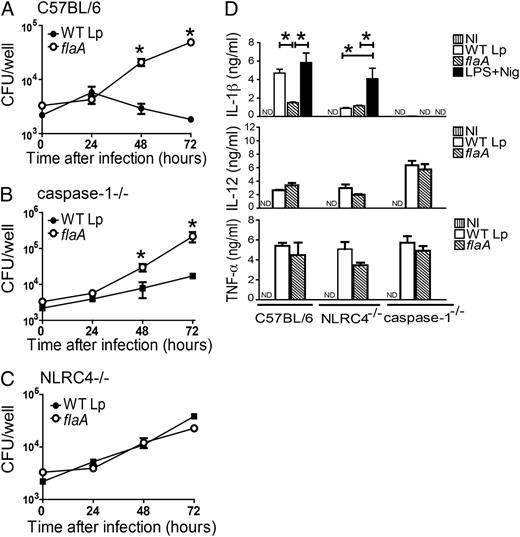 FIGURE 6. L. pneumophila mutants for flaA multiply better than WT L. pneumophila and fliI in caspase-1–deficient macrophages. A–C, BMDMs obtained from C57BL/6 (A), caspase-1−/− (B), and NLRC4−/− (C) mice were infected with WT L. pneumophila (closed circles) or flaA (open circles). Cultures were infected with 3000 bacteria per well (MOI 0.015) and incubated for 24, 48, and 72 h for CFU determination. D, BMDMs from C57BL/6, caspase-1−/−, and NLRC4−/− mice were left uninfected (NI; vertical hatched bars) or stimulated with WT L. pneumophila (open bars), flaA (hatched bars), or LPS plus nigericin (LPS+Nig; black bars). After 12 h of infection/stimulation, the concentration of IL-1β, IL-12p40, and TNF-α in the tissue culture supernatants were estimated by ELISA. ND; not detected. Data are representative of those found in five (A–C) and three (D) independent experiments and show the averages ± SD from triplicate wells. *p < 0.05. WT Lp, wild-type L. pneumophila.