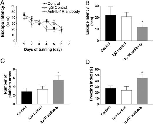 FIGURE 1. Administering an IL-1R blocking mAb rescues hippocampus-dependent cognitive impairments in the 3xTg-AD mice. A, Acquisition curve during training of MWM is expressed as mean ± S.E.M. No significant difference was observed among the groups. Escape latency (B) and number of crosses (C) on platform location for 24-h retention trial in MWM. Each bar is expressed as mean ± SEM; *p < 0.05 compared with control and IgG control groups. D, The freezing index of CFC is expressed as mean ± SEM. *p < 0.05 compared with control and IgG control groups. The number of mice tested: n = 10 for control and IgG control, and n = 8 for IL-1R blocking mAb treatment.