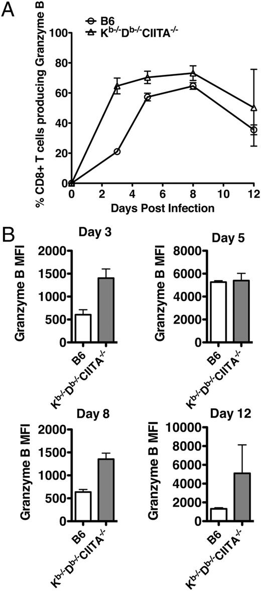 FIGURE 3. Early and robust LCMV-specific granzyme B production by CD8 T cells during LCMV infection in Kb−/−Db−/−CIITA−/− mice. Splenocytes from LCMV-infected B6 and Kb−/−Db−/−CIITA−/− mice were stained on the surface for CD8α and TCR, then intracellularly for granzyme B and analyzed by flow cytometry. A, The percentage of granzyme B-producing CD8α+TCRβ+ splenocytes from B6 and Kb−/−Db−/−CIITA−/− mice at days 3, 5, 8, and 12 after LCMV Armstrong infection. B, The mean fluorescence intensity (MFI) of granzyme B expression on the CD8α+TCR+ cells at days 3, 5, 8, and 12 postinfection.