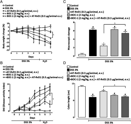 FIGURE 7. Pharmacological blockade of ALX reverses AT-RvD1 anti-inflammatory effects. Mice were given DSS (3%) for 5 d and treated from days 0 to 7 with AT-RvD1 (0.3 μg/animal, e.v.) once per day, the ALX selective antagonist BOC-1 (2 mg/kg, e.v.) once per day or with BOC-1 (2 mg/kg, e.v., 30 min before) plus AT-RvD1 (0.3 μg/animal, e.v.). Systemic treatment with AT-RvD1 ameliorated all the parameters analyzed, but treatment with BOC-1 plus AT-RvD1 impaired AT-RvD1–mediated body weight gain (A), DAI improvement (B), macroscopic colon damage amelioration (C), and protective effect on colon length (D). Data are reported as means ± SEM of five to seven animals per group. #p < 0.05 versus the control group, *p < 0.05 versus the DSS-treated group, Δp < 0.05 versus the AT-RvD1–treated group.