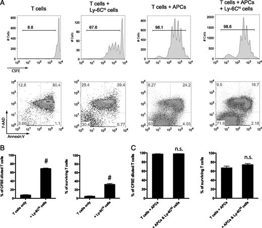 FIGURE 6. Immune function of CNS CD11b+Ly-6Chi cells isolated before EAE onset. A, CNS CD11b+Ly-6ChiLy-6G− cells were isolated on day 10 from MOG35–55 immunized mice not yet developing EAE. 2D2 CD4+ T cells were labeled with CFSE, and cultured with CNS CD11b+Ly-6Chi cells, APCs as indicated (1 × 105 cells/well for each cell type). MOG35–55 was added at 20 μg/ml. T cell proliferation and survival were examined after 72 h by CFSE dilution and Annexin V/7-AAD staining. B and C, T cell proliferation and survival were quantified from above experiments. Data from culture without and with APCs are presented in B and C, respectively. Data are representative of two independent experiments. #p < 0.01; n.s., p > 0.05.
