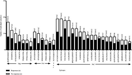FIGURE 4. Immunogenic epitopes identified in IFN-γ ELISPOT assays. Epitopes that were tested in five or more individuals and had a positive response rate ≥40% are shown on the x-axis, with the number of responders and nonresponders shown on the y-axis. The restricting HLA allele is shown above each bar. The majority of epitopes was identified from the central region of Nef.
