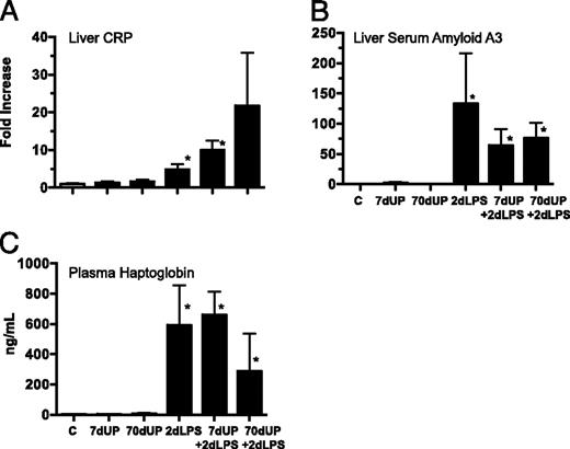 FIGURE 8. Chronic amniotic exposure to U. parvum did not decrease intraamniotic LPS induced increases in acute phase reactants. Quantification using real-time PCR assays using sheep specific primers and Taqman probes for (A) liver CRP and (B) liver serum amyloid A3 mRNA expression. The values for each cytokine were normalized to 18s rRNA. The mean mRNA signals in control animals were given the value of 1 and levels at each time point were expressed relative to controls. C, Haptoglobin levels were measured in the plasma by ELISA. *p < 0.05 versus control.