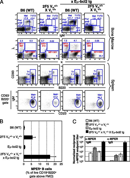 Rescue of HIV1 Broad Neutralizing AntibodyExpressing B Cells in 2F5