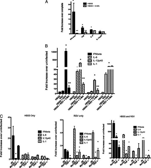 FIGURE 4. Starvation-induced autophagy significantly upregulates cytokine production and synergistically enhances RSV-induced responses via MyD88- and TRIF-associated pathways. A, BMDC amino acid starved in HBSS for 2 h were treated with and without 3-MA (10 μM) to block autophagy, and then expression of innate immune cytokines was assessed by qPCR of isolated mRNA. *p < 0.05. B, BMDC were starved for 2 h, reconstituted with complete media, and infected with RSV, or both treatments were performed together. After 24 h of culture, the cells were harvested and isolated mRNA was assessed for induction of cytokine expression by qPCR. *p < 0.05 compared to RSV only, **p < 0.05 compared to HBSS + RSV. C, DC from MyD88−/− and TRIF−/− mice were used to examine the relative contribution of the two pathways for starvation, RSV, or the combined treatment groups for cytokine production. Experiments for C were performed in parallel with those displayed in A and B. Data represent mean ± SE from two repeat experiments. *p < 0.05.