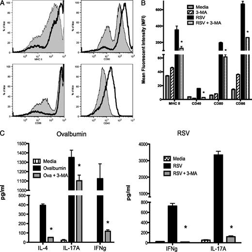 FIGURE 5. Alteration of DC maturation and T cell activation from RSV-infected animals. A, Control (black line) and 3-MA treatment (gray area) of RSV-infected BMDC were examined for expression for their maturation, as assessed by flow cytometry of DC maturation markers at 24 h post-RSV infection. B, Multiple samples were quantitatively assessed based upon the mean fluorescent intensity of each of the markers, demonstrating a decreased expression level after 3-MA treatment. C, To assess the APC function of the RSV-infected DC, their capacity to reactivate CD4 T cells isolated from splenic T cells from DO.11 OVA TCR transgenic mice and lung draining lymph nodes of RSV-infected mice was assessed by quantifying IL-4, IFN-γ, and IL-17 RNA/protein after 24 h of coculture. Data represent mean ± SEM from repeat experiments. No increased IL-4 was detected in RSV-rechallenged T cells, and therefore was not displayed. *p < 0.05.