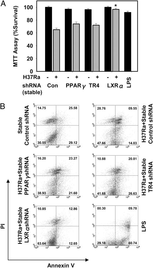 FIGURE 4. LXRα knockdown rescues H37Ra-induced apoptosis in THP1 macrophages and increases cell survival. An MTT survival assay (A) and Annexin V-PI staining (B) was performed on H37Ra-treated control cells and stable knockdown cell lines of PPARγ, TR4, and LXRα. LPS (1 μg/ml) activation is included as a control. The results were verified by four repetitions of the experiments, each of which was conducted in triplicate. Error bars show SD. *p < 0.05, significant differences with H37Ra control.