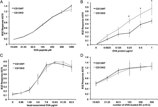 FIGURE 3. CD13KO BMDCs show enhanced cross-presentation of soluble Ag in vitro. DCs were loaded with increasing doses of the indicated forms of Ag, cocultured with B3Z cells, and the response measured by a colorimetric assay. (A) H2Kb (SIINFEHL or SH8) peptide, (B) soluble OVA, (C) OVA adsorbed to polystyrene beads, and (D) OVA-loaded liposomes. Data represent absorbance ± SD (n = 3 mice/genotype, three independent experiments). *p < 0.05.