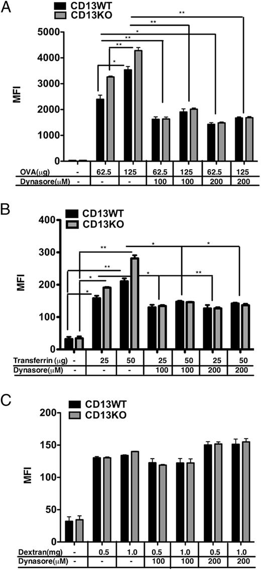 FIGURE 6. CD13 regulates endocytosis of dynamin-dependent Ags. Similar to OVA–FITC, CD13KO DCs are more efficient in the uptake of transferrin–FITC. Increasing doses of Dynasore abrogates uptake of (A) OVA–FITC and (B) transferrin–FITC but not (C) dextran–FITC in both CD13WT and CD13KO. Data represent MFI ± SD, n = 3 mice (three separate experiments). *p < 0.05, **p < 0.01.