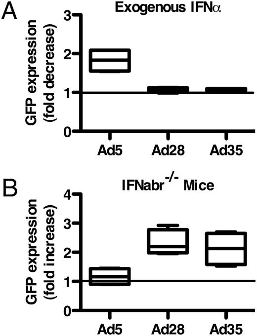 FIGURE 7. IFN-α signaling reduces the frequency of insert-positive cells. (A) Fold decrease in GFP expression in rAd-infected, IFN-α–treated DCs from wild-type mice compared with rAd-infected, IFN-α–untreated DCs. (B) Fold increase in GFP expression in rAd-infected DCs from IFNabr−/− mice compared with rAd-infected DCs from wild-type mice.