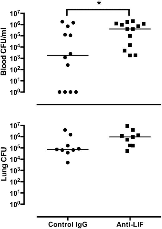 FIGURE 3. Effect of LIF neutralization on bacterial clearance. E. coli CFUs were enumerated in blood and lungs after 24 h of pneumonia in the presence of anti-LIF or control IgG. CFU per milliliter (blood) and total lung CFU are shown for individual mice, with horizontal lines indicating the median value within each experimental group. *p < 0.05 compared with mice treated with control IgG (n = 9–13).