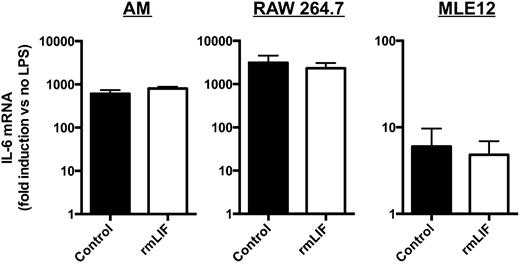 FIGURE 5. Effect of LIF supplementation on IL-6 induction in vitro. IL-6 mRNA induction was determined in alveolar macrophages (AM), RAW 264.7 cells, and MLE-12 cells following 2 h of LPS stimulation in the absence and presence of rmLIF. Data are expressed as fold-induction compared with cells not treated with LPS. Means ± SEM were calculated by combining data from three separate experiments or three individual mice (n = 3).
